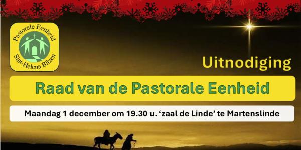 Raad van de pastorale eenheid