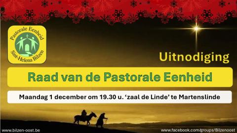 Raad van de pastorale eenheid